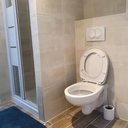 Apartment Joli Studio/bourget/cdg/paris *